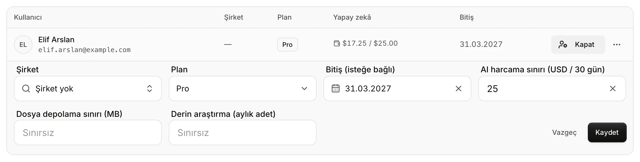 The edit area of a user without a company: company, plan, expiry, AI spend limit, file storage limit and deep research fields