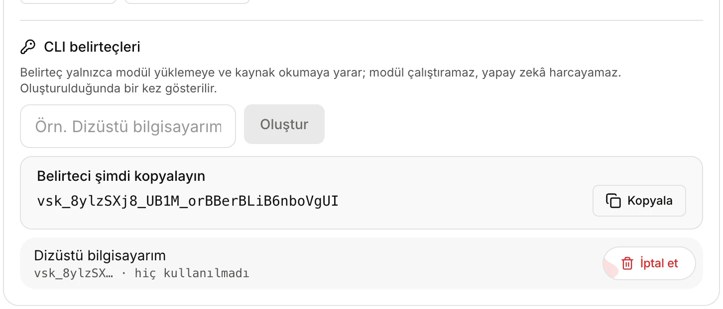 The CLI tokens section: the name field, the Create button, the new token shown once and the token list