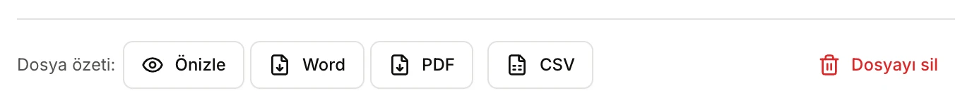 Dosya sayfasının altı: Dosya özeti için Önizle, Word, PDF düğmeleri, CSV ve Dosyayı sil