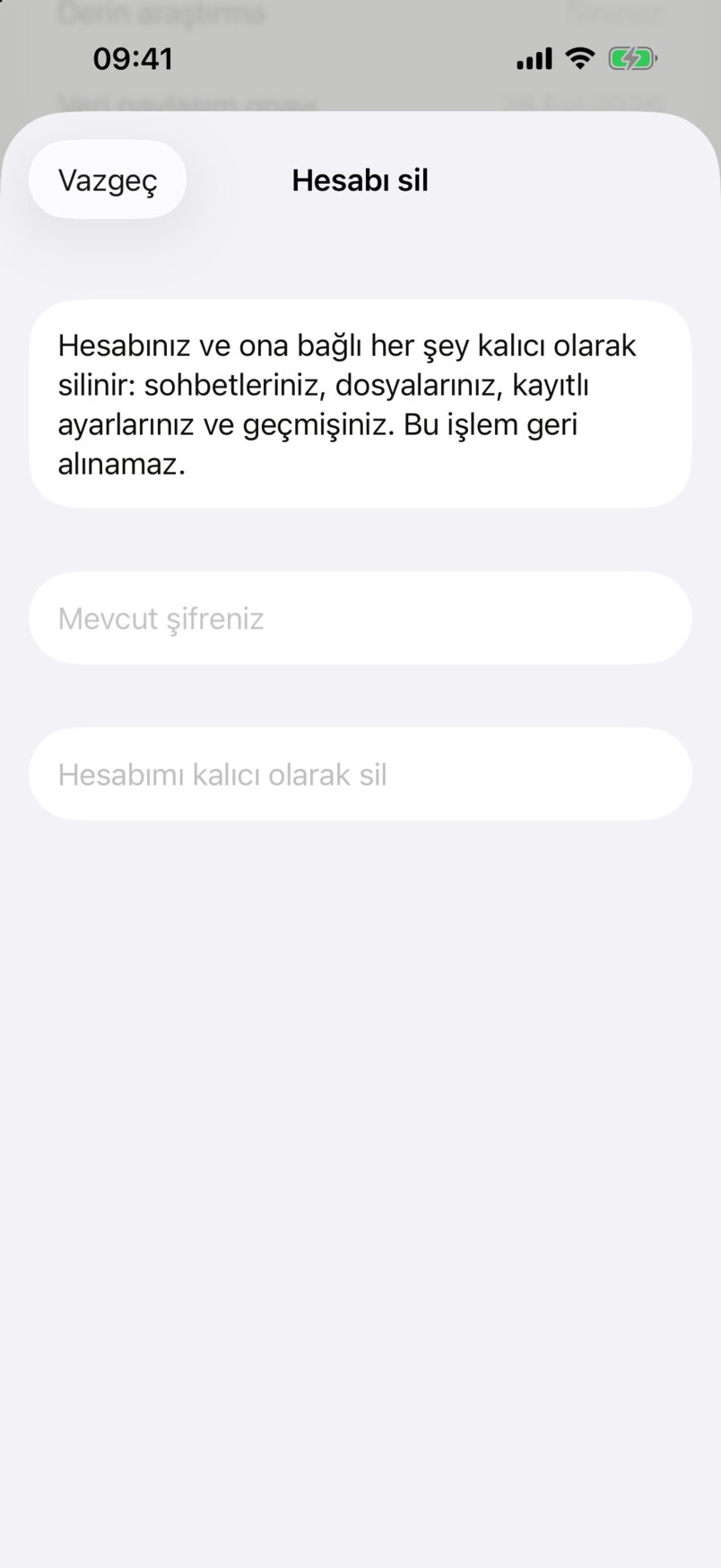 Hesabı sil ekranı: silinecekleri anlatan metin, Mevcut şifreniz alanı, Hesabımı kalıcı olarak sil düğmesi ve Vazgeç