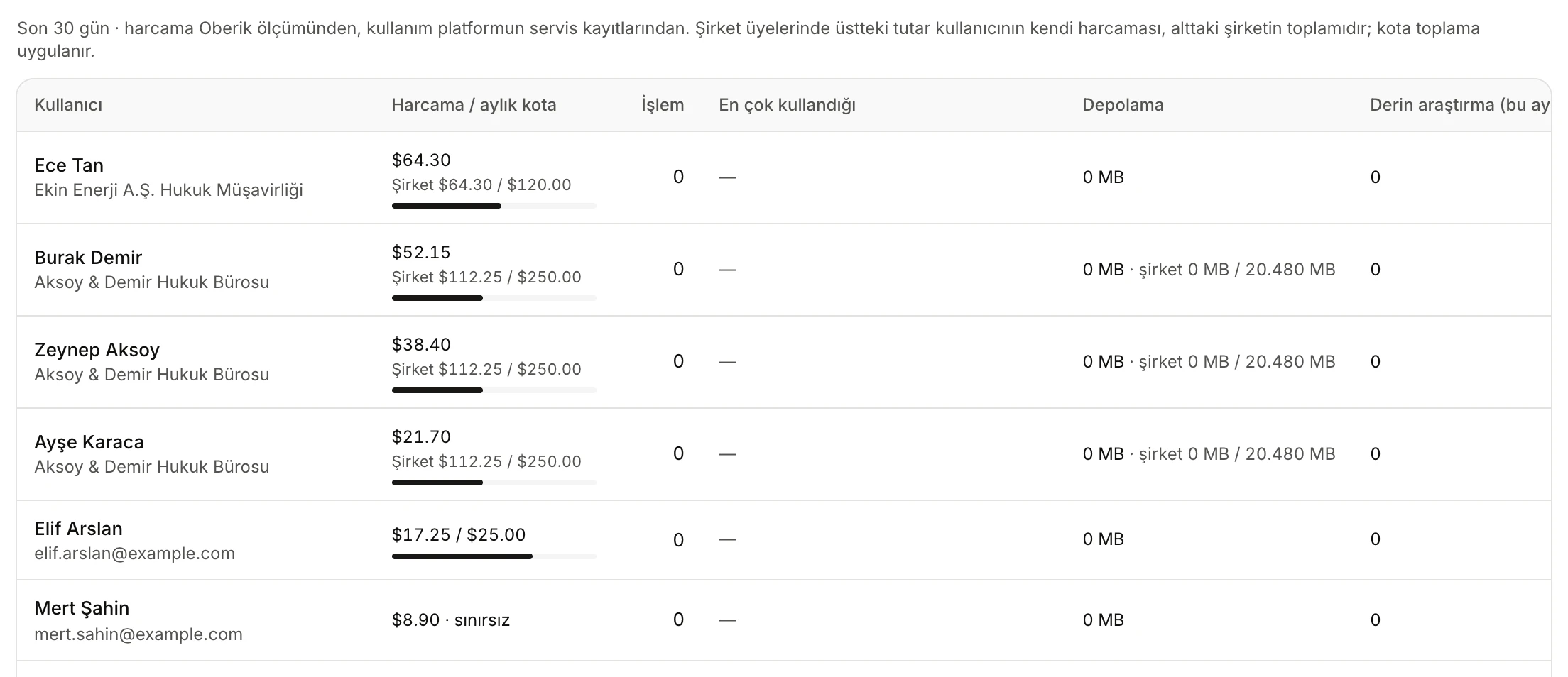 Kullanım sekmesi: kullanıcı başına harcama ve kota, işlem sayısı, en çok kullanılan araçlar, depolama, derin araştırma ve son etkinlik