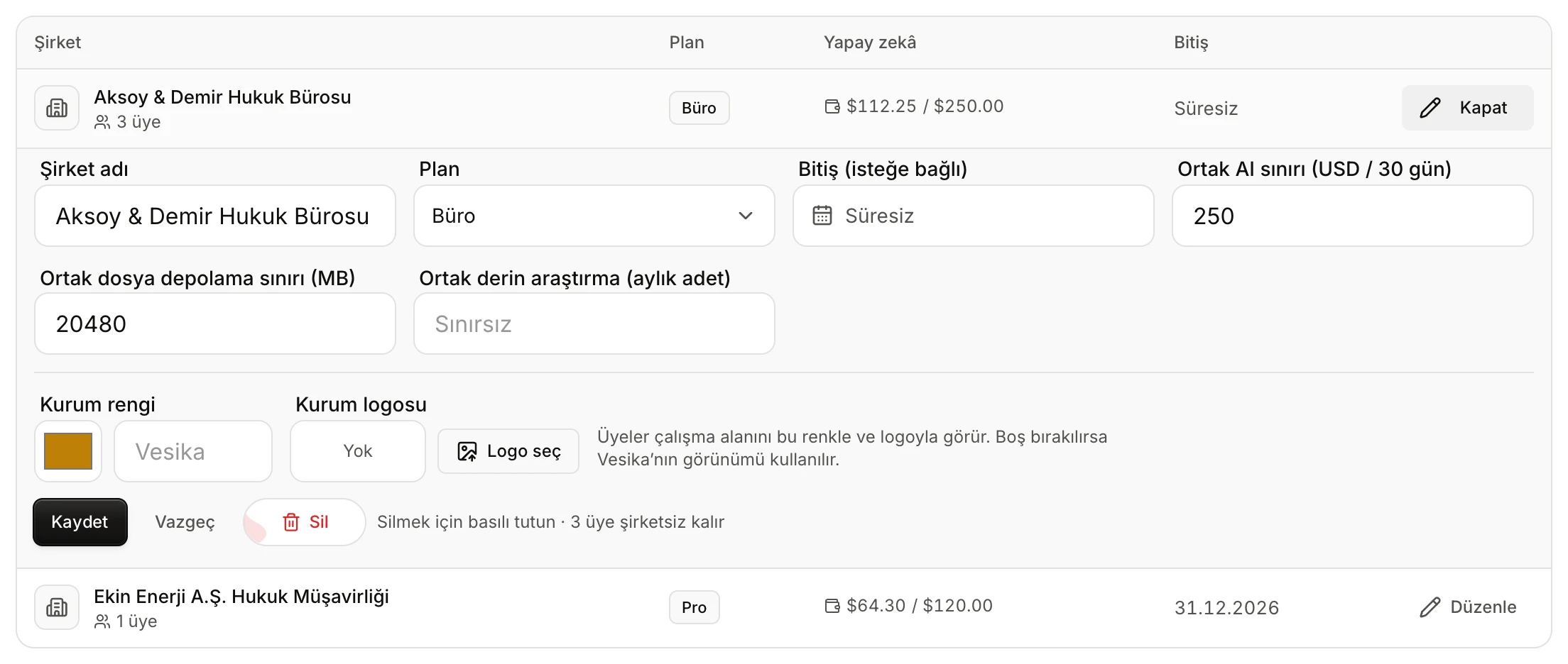 Bir şirketin düzenleme alanı: ad, plan, bitiş, ortak sınırlar, kurum rengi ve logosu, Kaydet ve Sil düğmeleri