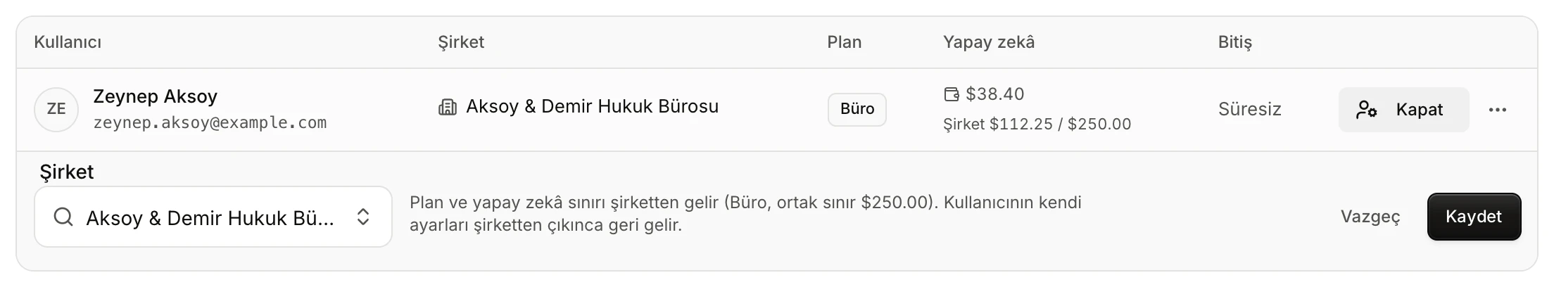 Bir şirket üyesinin düzenleme alanı: yalnızca şirket seçimi ve planın şirketten geldiğini anlatan not
